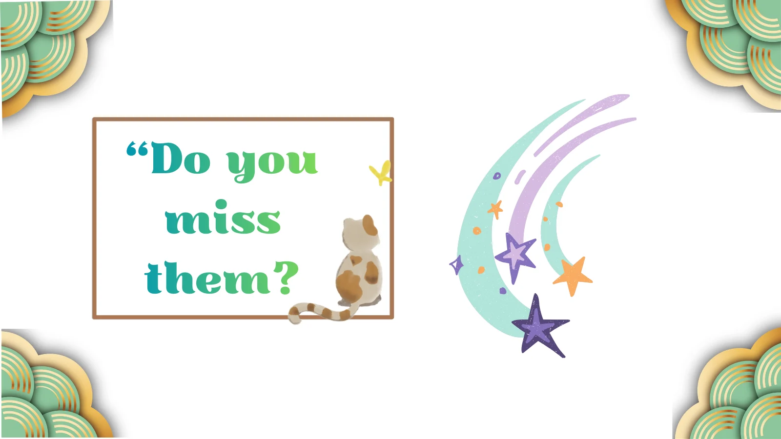 Shooting Star Meaning Revealed What It Really Symbolizes