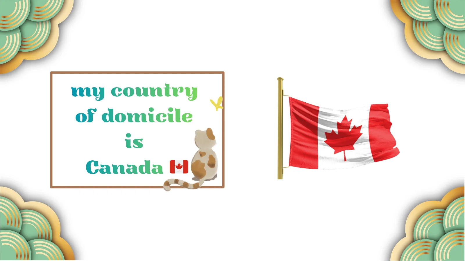 Powerful Country of Domicile Meaning Clear Expert Explanation