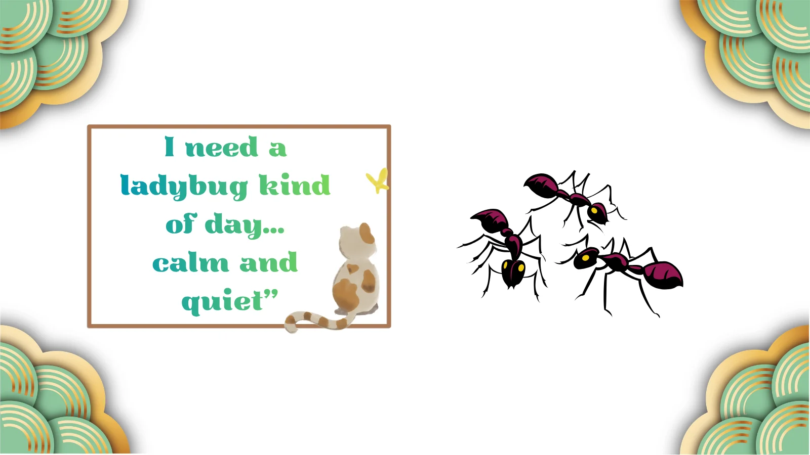 Lady Bugs Meaning Ultimate Secrets You Must Know Today