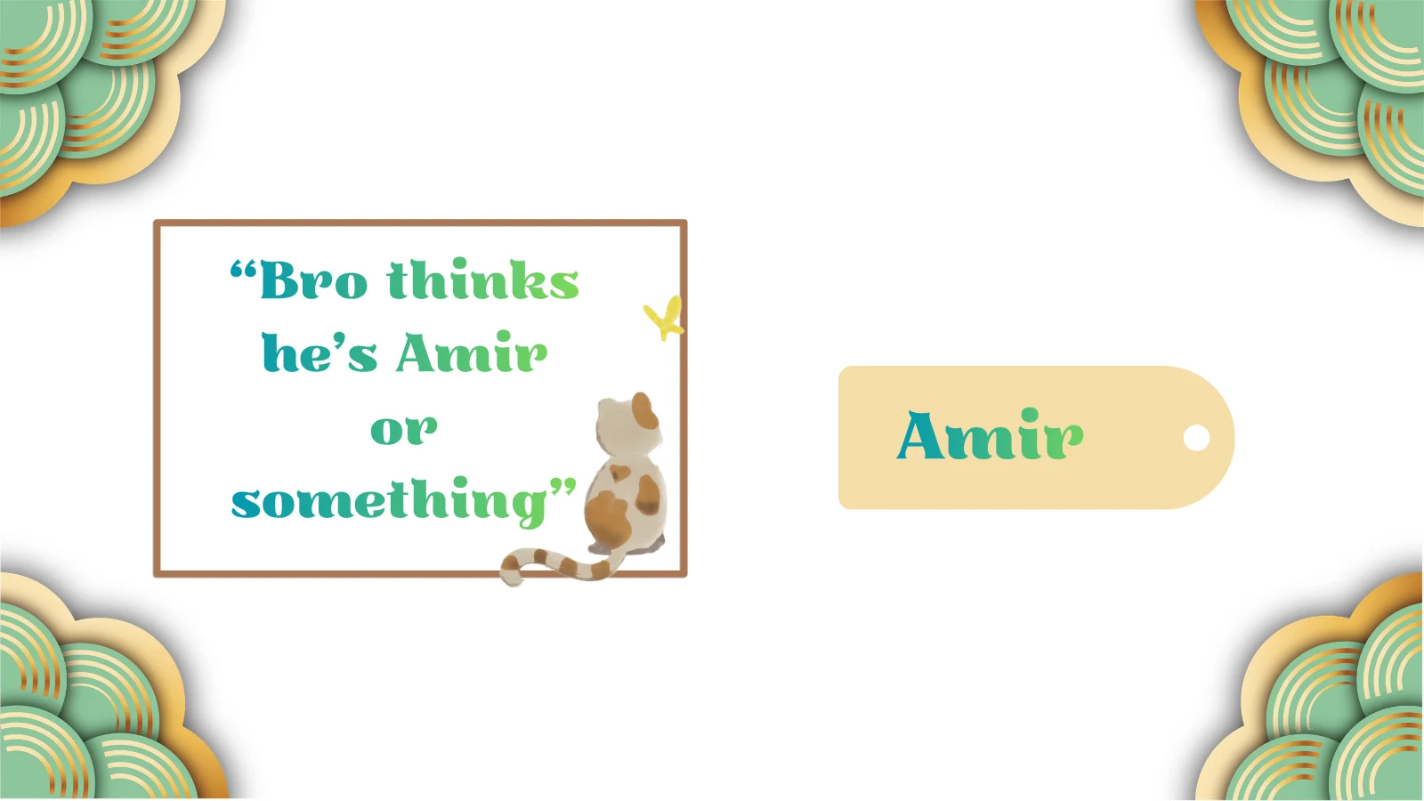 amir name meaning