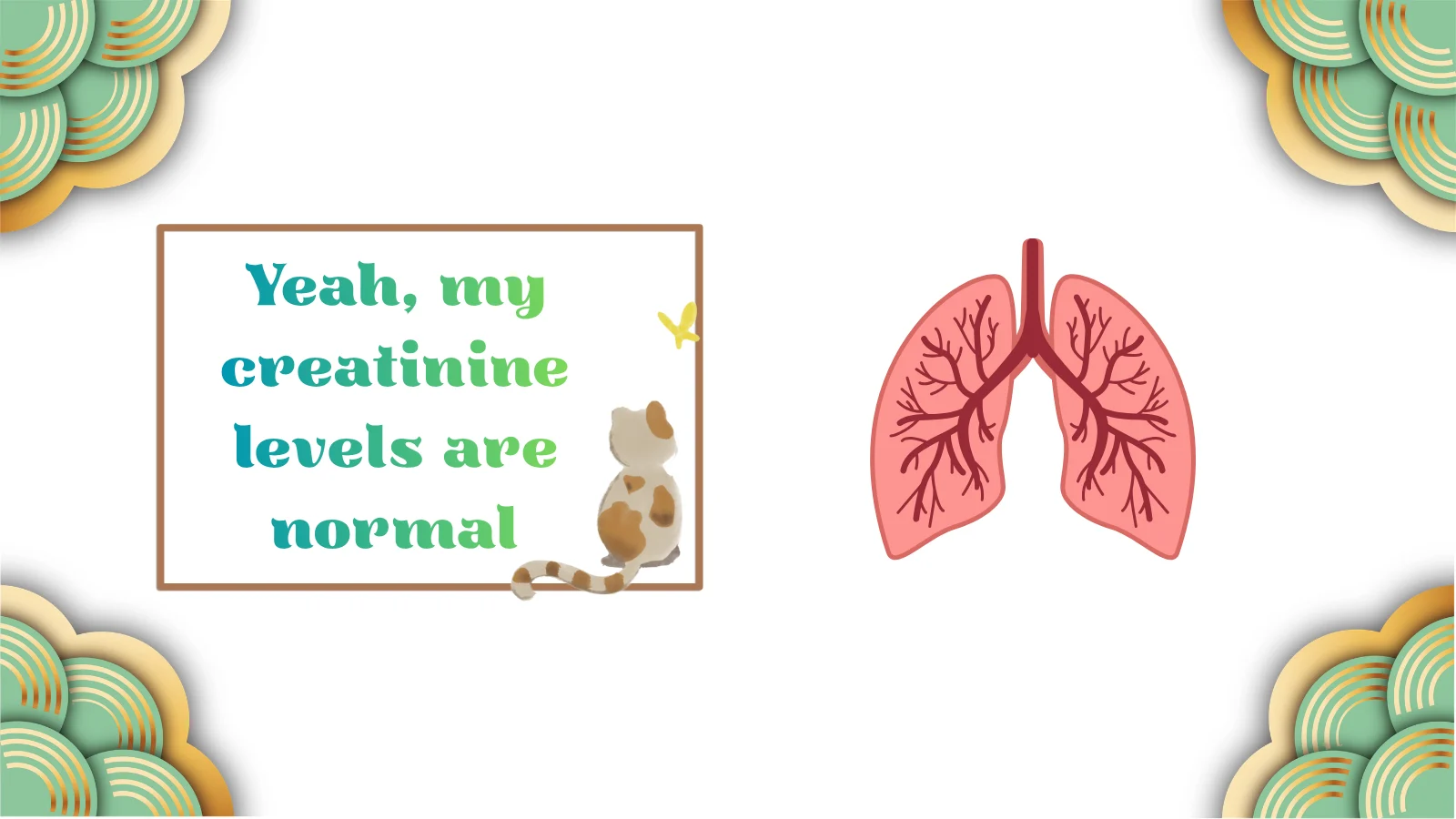creatinine meaning