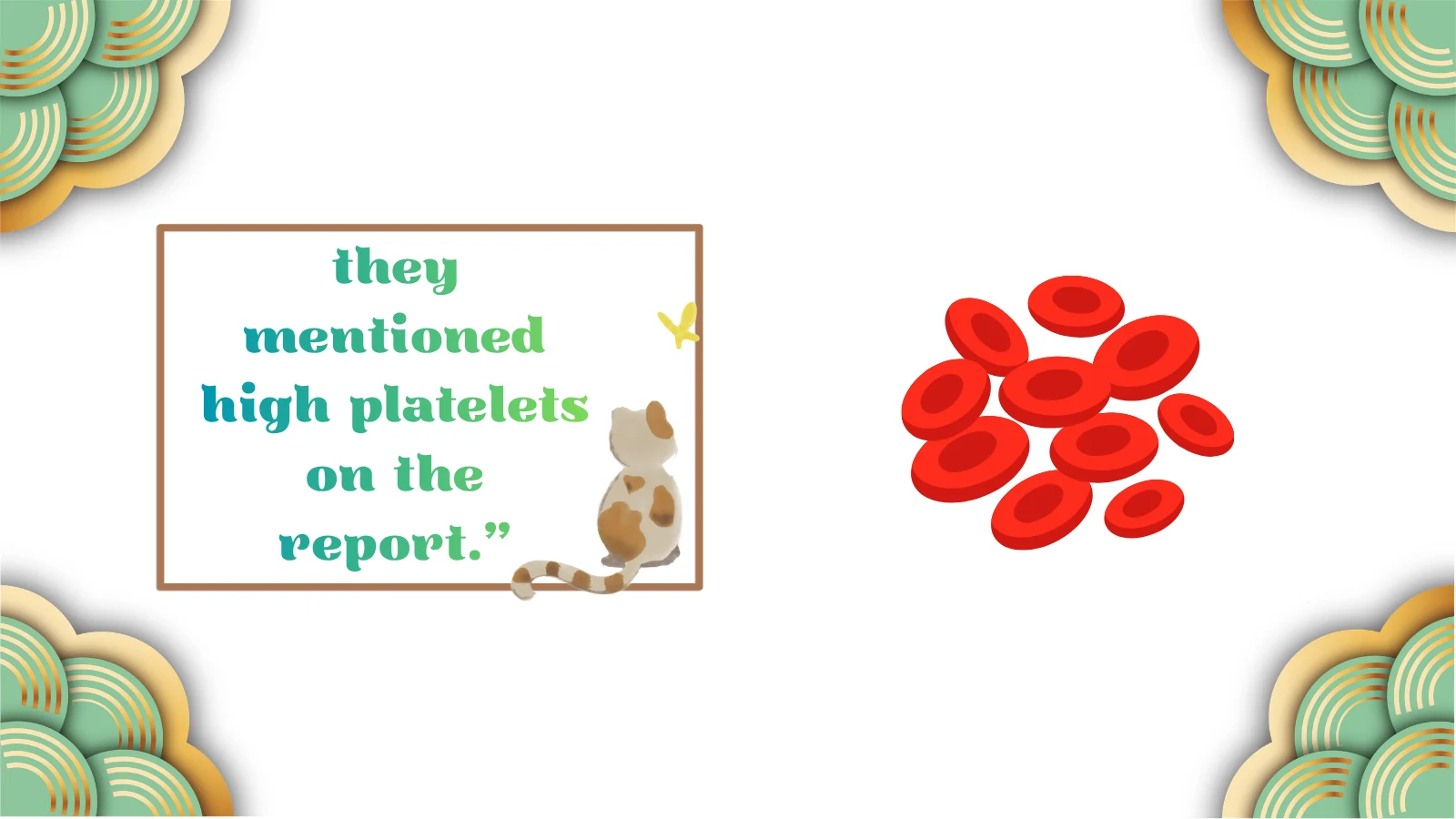 High Platelets Meaning Revealed What Every Patient Should Know