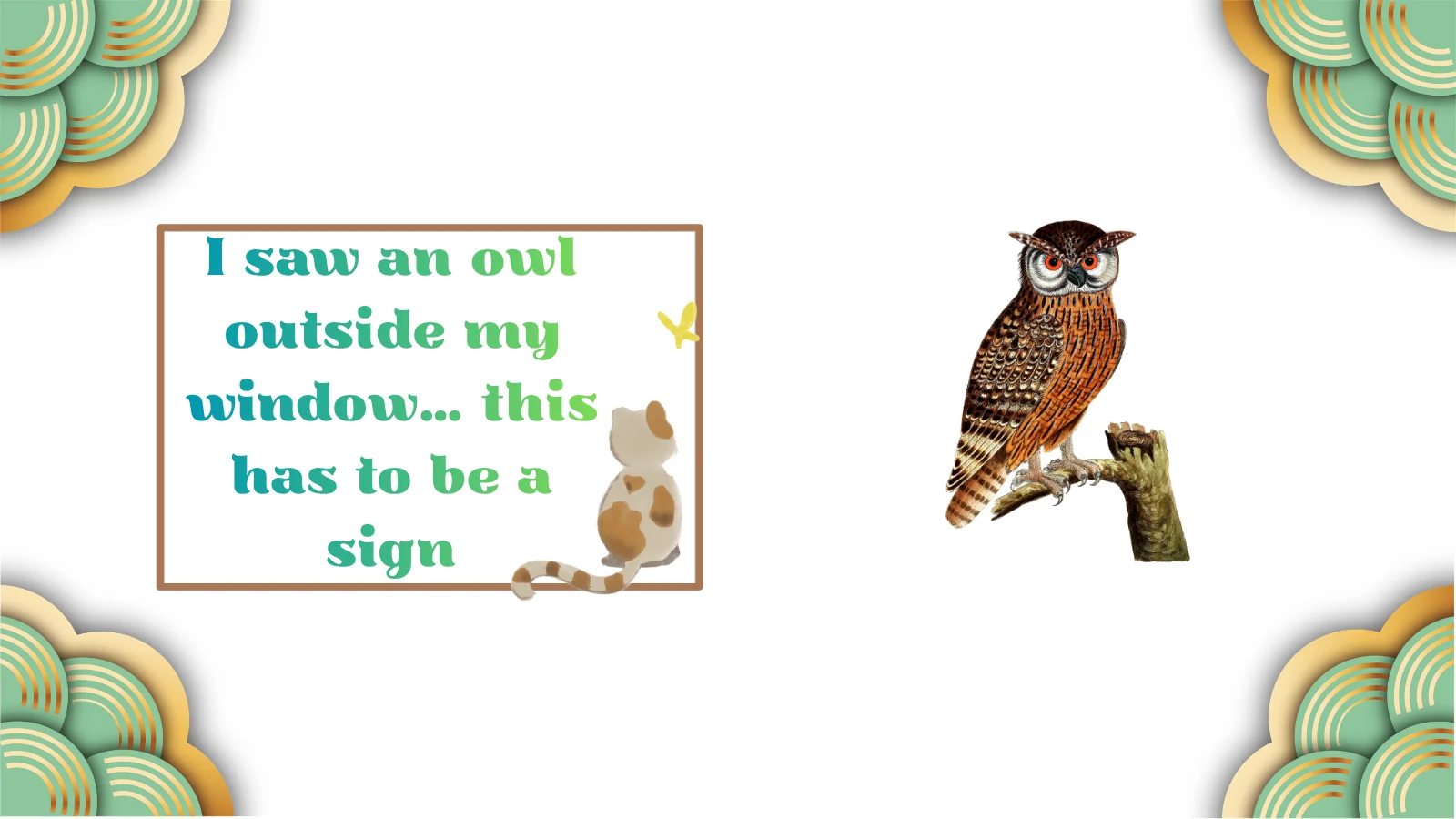 seeing an owl at night spiritual meaning